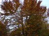 Gambarie d'Aspromonte